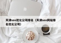 天津seo优化公司排名（天津seo网站排名优化公司）