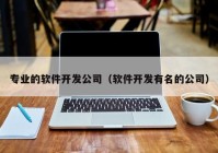 专业的软件开发公司（软件开发有名的公司）